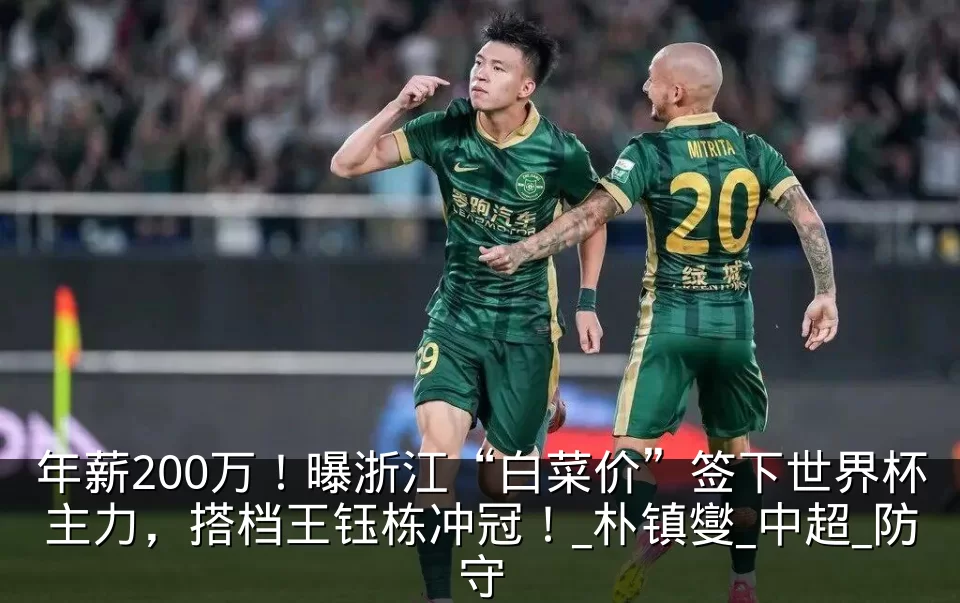年薪200万！曝浙江“白菜价”签下世界杯主力，搭档王钰栋冲冠！_朴镇燮_中超_防守