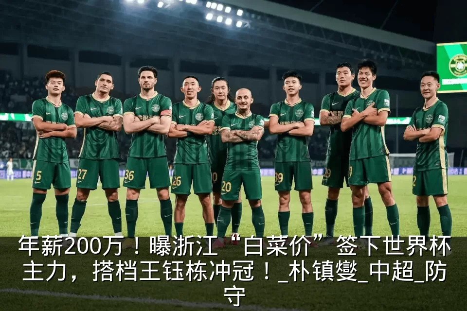 年薪200万！曝浙江“白菜价”签下世界杯主力，搭档王钰栋冲冠！_朴镇燮_中超_防守